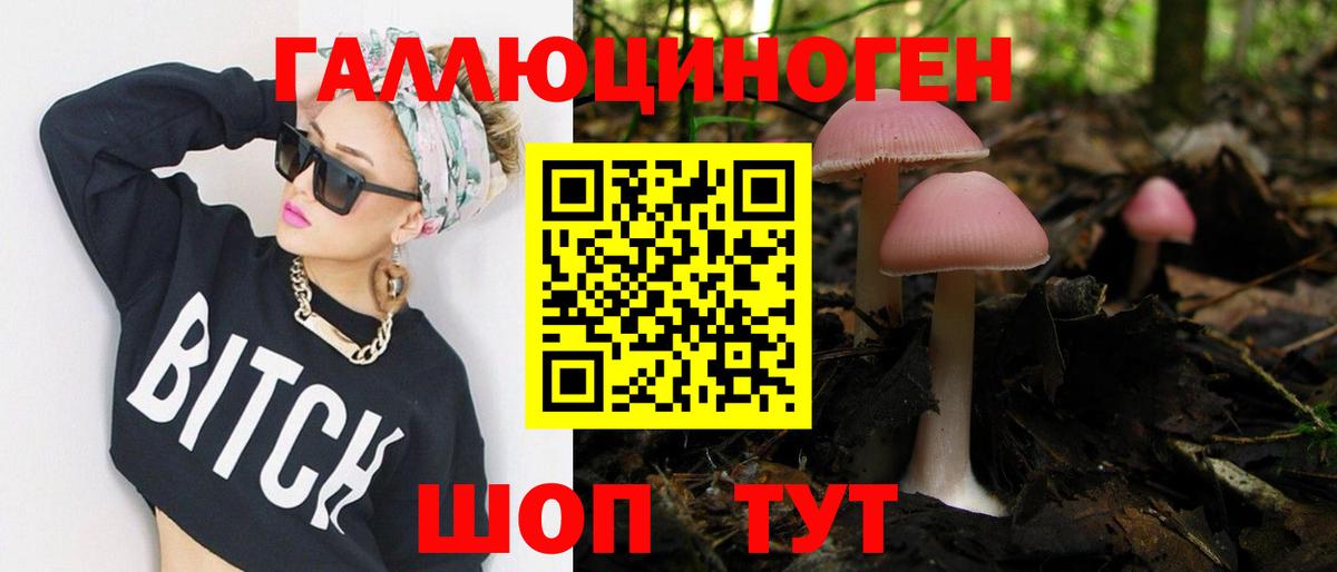 Шадринск  Галлюциногенные грибы MAGIC MUSHROOMS  Вход с VPN  Галлюциногенные грибы Psilocybine cubensis 