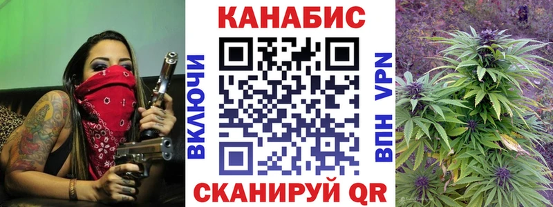 купить наркоту  Шадринск  Марихуана индика 